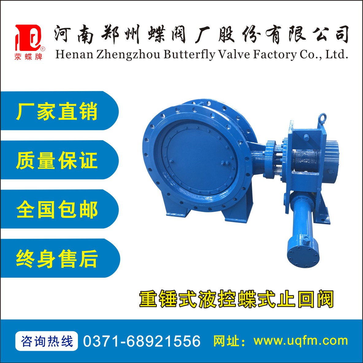 重錘式液控蝶式止回閥